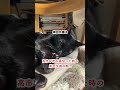 【怒り】石破と決まったときの岸田の顔...