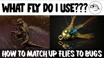 Fly Fishing Entomology 101: How To Decide Which Fly Pattern To Use