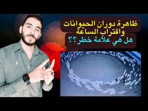 ظاهرة دوران الحيوانات واقتراب الساعة  انتبهوا واحذروا يا مسلمين