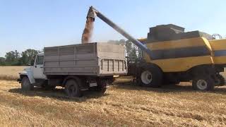 New Holland CS 6090 уборка озимой пшеницы 2021