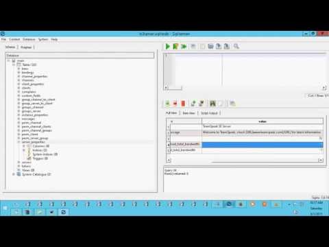 How to edit the Teamspeak 3 Database
