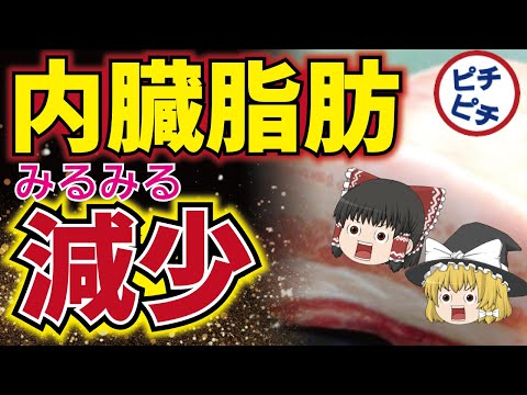 【ゆっくり解説】40代50代の内臓脂肪を落とす痩せる食事法とは！太る理由は●●だった！【うわさのゆっくり解説】