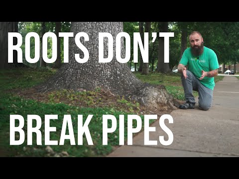 Video: Mohou kořeny stromů způsobit propady?