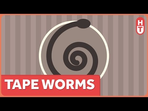 Video: Wie beschermen lintwormen zichzelf?
