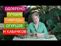 СЕЗОН 2020: ЭТИ СЕМЕНА ОГУРЦОВ И КАБАЧКОВ ПОКАЗАЛИ НАИЛУЧШИЙ РЕЗУЛЬТАТ!