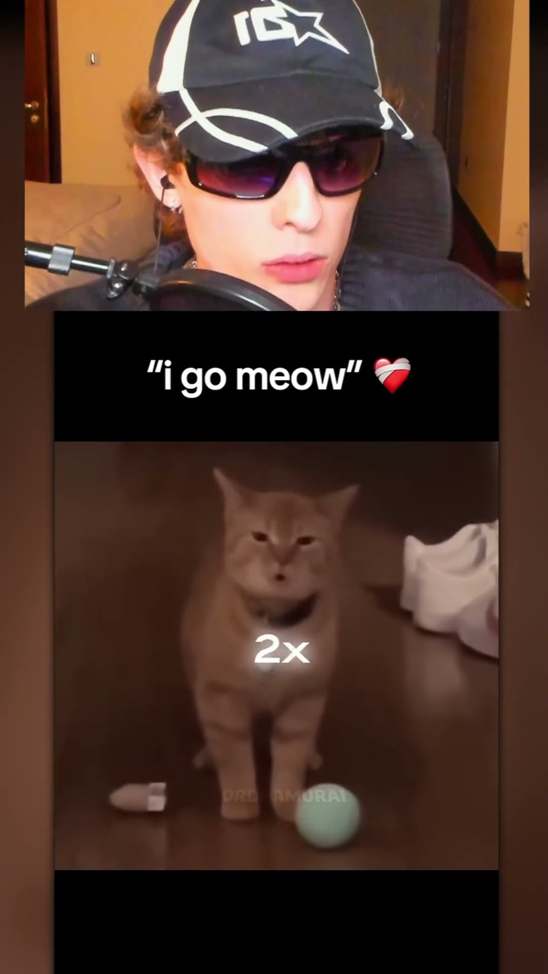 El mejor MEOW?