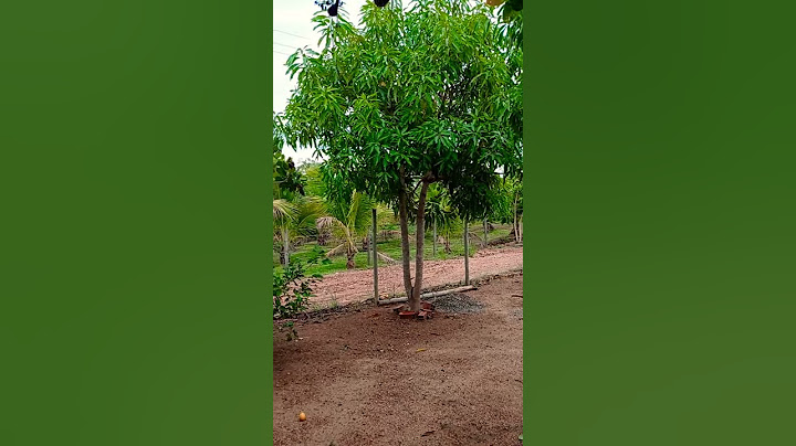 Chácara Pequena!! Sonho pra muitos!!