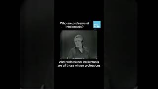 Who are professional intellectuals? screenshot 4