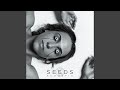 Miniature de la vidéo de la chanson Seeds (Acoustic)