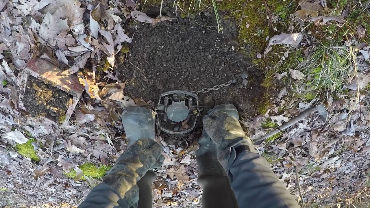 Trapping 2020 Coyote Set