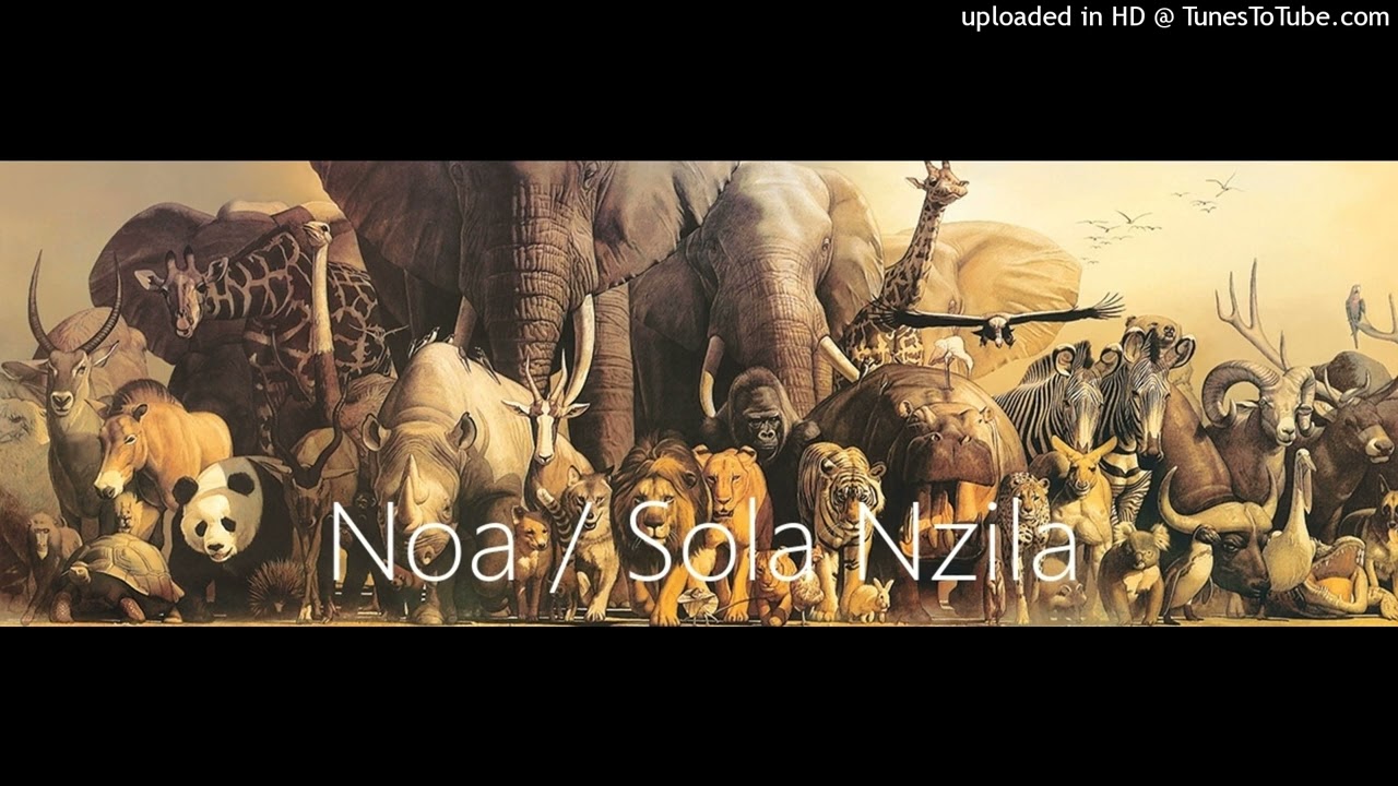 Yaya Noah / Sola Nzila || Les Térébinthes de la justice