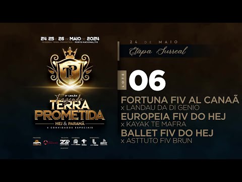 LOTE 06   HEJ 771   HEJ 1072   NFHC 576 zap