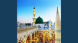 Tajdar E Haram Ho