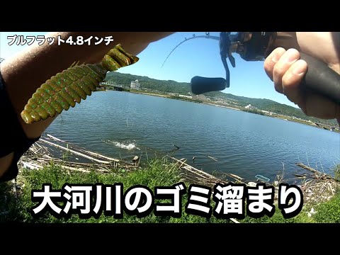 七匹の怪物 Amazon.co.jp: Super7 シルバーホークス モンスター (トイ