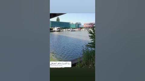 أيات بينات من سورة الإسراء