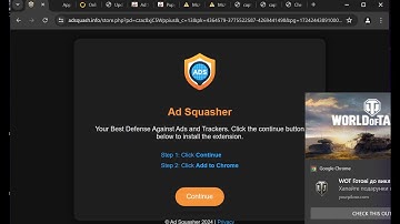 Adsquash.info malicious pop-up removal video.