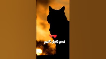 اكتب شيء تؤجر عليه يوم القيامة 😴🖤 #آيات_الرحمة #اكسبلور #اللهم_صل_على_محمد_وال_محمد #المصحف