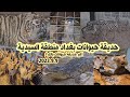 حديقة الحيوان _ حديقة بغداد للحيوانات منطقة السيدية Baghdad zoo