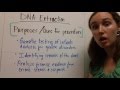 Unlocking the Secrets of DNA Extraction from Strawberries
