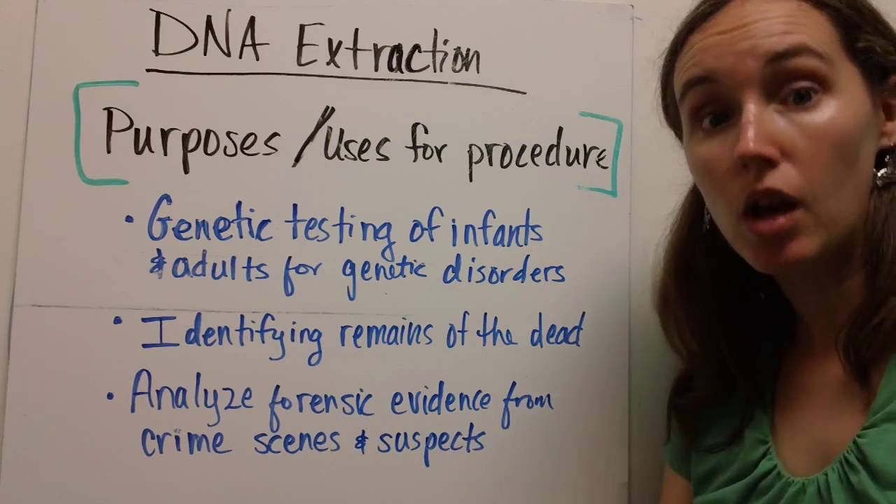 Strawberry DNA Extraction Lab Explanation YouTube strawberry-dna-extraction-lab-explanation-youtube