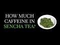 Does Sencha Tea Have Caffeine - Sencha Caffeine Content Explained