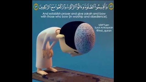 سورة البقره اية 42