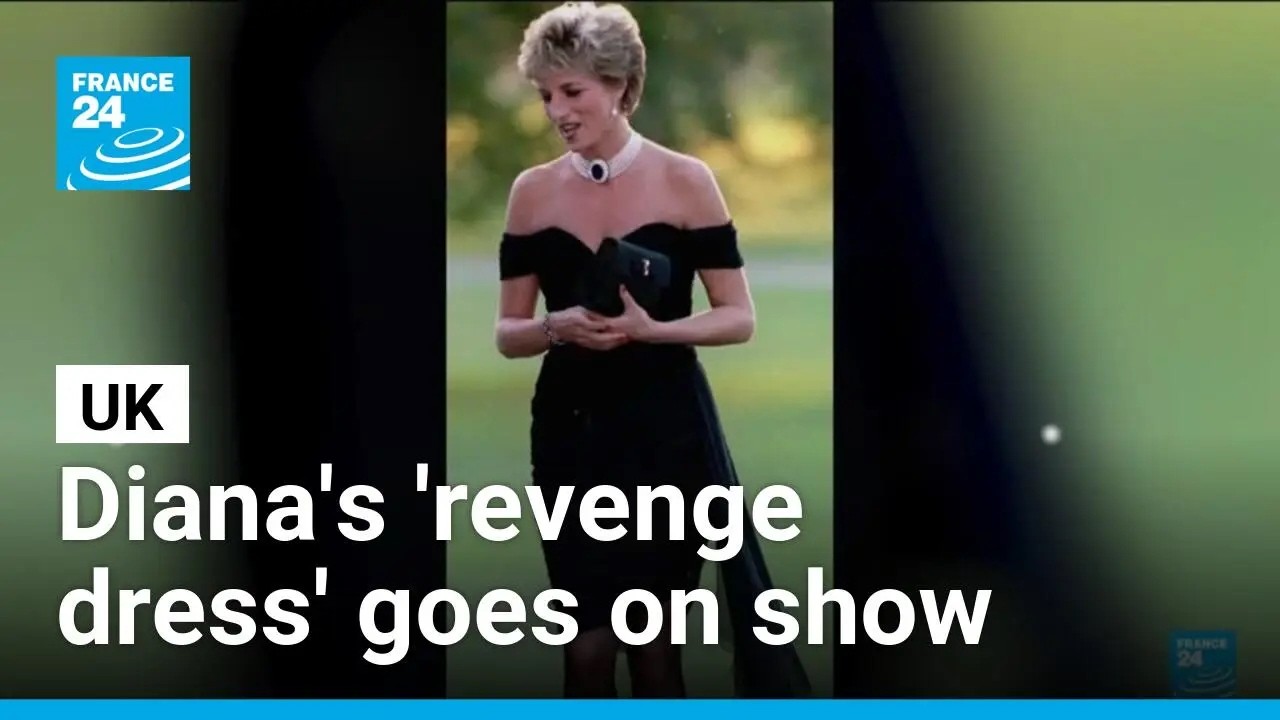 Princess Diana's iconic 'revenge dress' goes to auction • FRANCE 24 English
