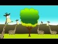 Darwin's Theory of Evolution and Natural Selection Explained