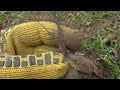 Вот и серебро проскочило!!!