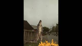 Viral Gozila Menyerang Desa