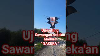 Download Lagu setting sawangan seka'an madura sakera masih kurang oke MP3 Download Lagu setting sawangan seka'an madura sakera masih kurang oke MP3