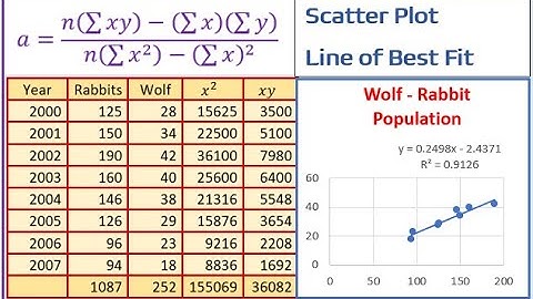 Line of Best Fit | Rabbit and Wolf Correlation Scatter Plot Linear Regression Least Squares Method