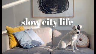 Spring in Norway / simple living / nature walk / living with a dog / silent vlog Oslo