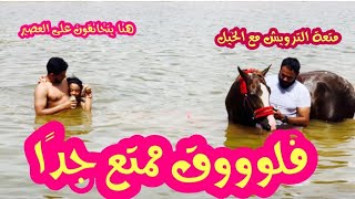 السباحه مع الخيل🏊🏼‍♂️🐎😍أطول وأمتع رحله على الخيل🐎😍