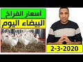 اسعار الفراخ البيضاء اليوم الاثنين 2-3-2020 في بورصة الدواجن في مصر