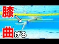 【嘘?】「キックは膝曲げない?」 クロール 水泳