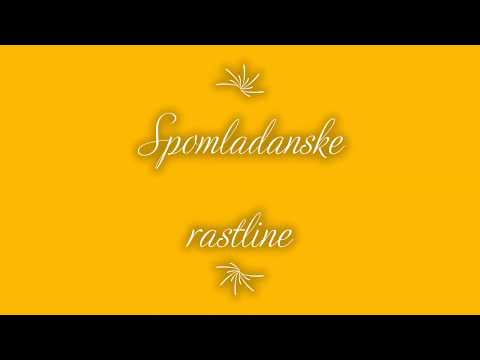 Spomladanske rastline (Strupene ali zdravilne?)