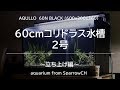 60cmコリドラス水槽2号－立ち上げ編－