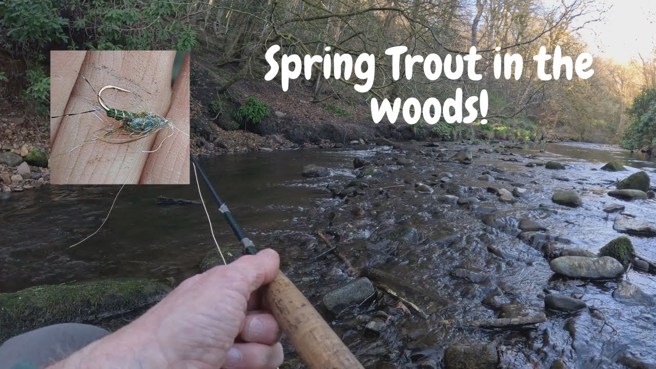 Почему бы не попробовать нимфу вверх по течению? Старая школьная тактика на обмелевшей реке! # Бр...