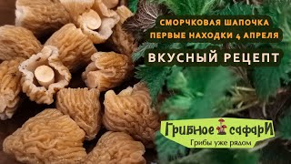 Первая Сморчковая шапочка! 4 апреля 23г  Липецк