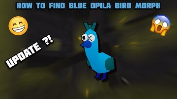 UPDATE - How To Find BLUE OPILA BIRD MORPH in Find The Backrooms Morphs