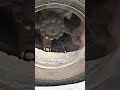 Правильная балансировка колес 💪💪💪