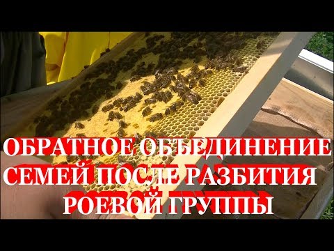 Быстрое обратное объединение