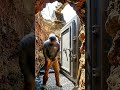 Building a secret underground bunker #construction #diy #bunker