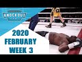 Boxing Knockouts | February 2020 Week 3