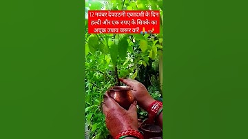 12 नवंबर देव उठनी एकादशी को हल्दी और 1 रूपए के सिक्के का अचूक उपाय 🙏👍#pradeepmishra#एकादशी#कार्तिक🏠📿