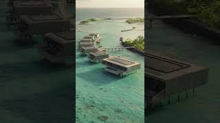 Patina Maldives | Villas, Dolphin Cruise and Art #shorts
Enjoy watching and make sure to subscribe for more travel content!
Lets connect
www.instagram.com/thedronebook
www.youtube.com/thedronebook
www.thedronebook.com Patina Maldives | Villas, Dolphin Cruise and Art #shorts