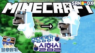 유령강아지도 뒤집을수 있을까? 반전결과..?!! 마인크래프트 우당탕탕 실험실! (Minecraft laboratory) [블루위키]