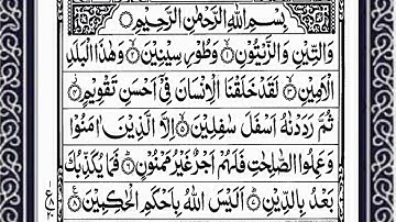 Quran 95-Surah At Tin-সূরা আত-ত্বীন-سورة التين-নামাজের ছোট সূরা-(The Fig)-শিখুন কুরআন|√