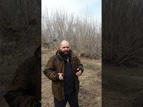 Лайфхаки и советы которые помогают при нападении собак